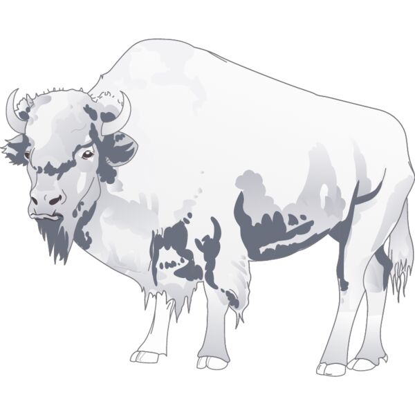 PG67559 Miniaturansicht