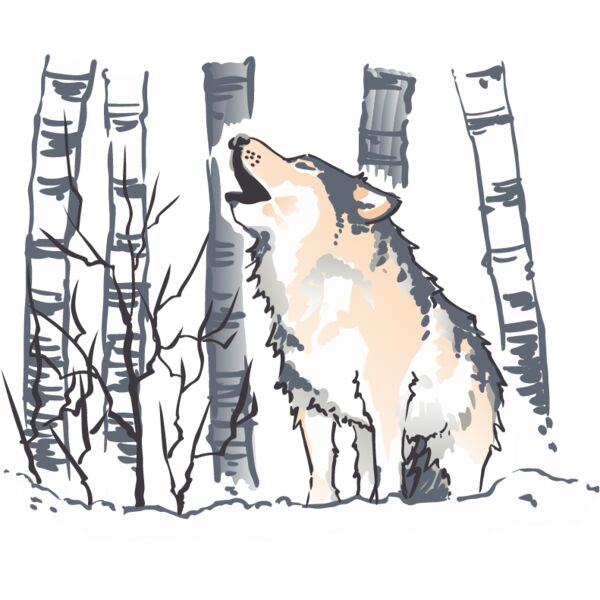 PG67567 Miniaturansicht