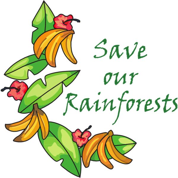 PG46229 Miniaturansicht