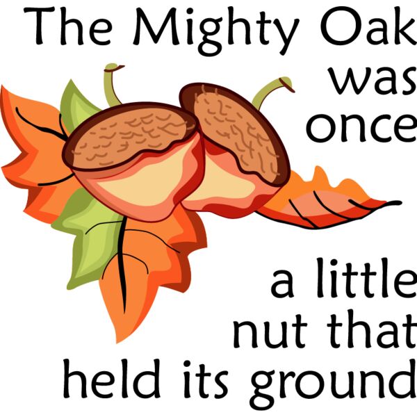 PG45570 Miniaturansicht