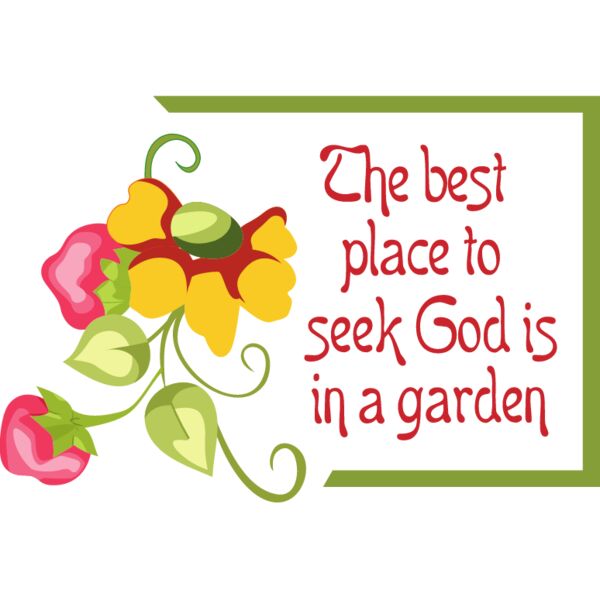 PG52917 Miniaturansicht