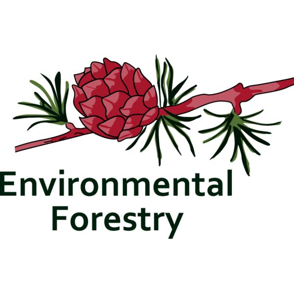 PG17940 Miniaturansicht