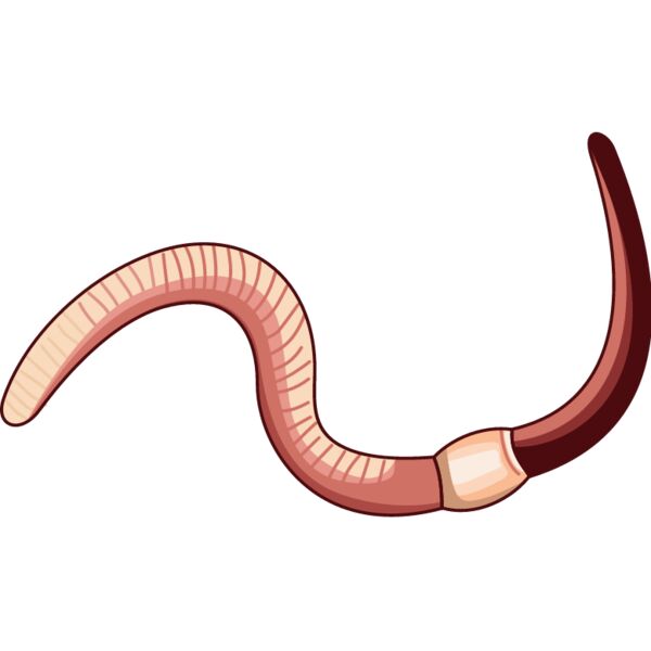 PG43909 Miniaturansicht