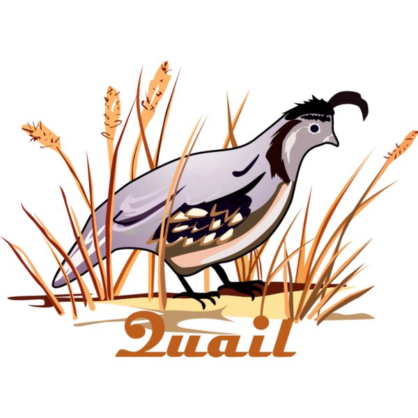 PG66339 Miniaturansicht