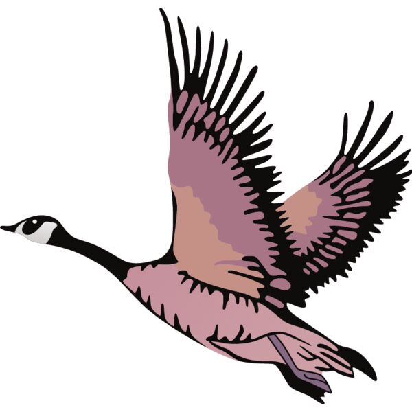 PG7375 Miniaturansicht