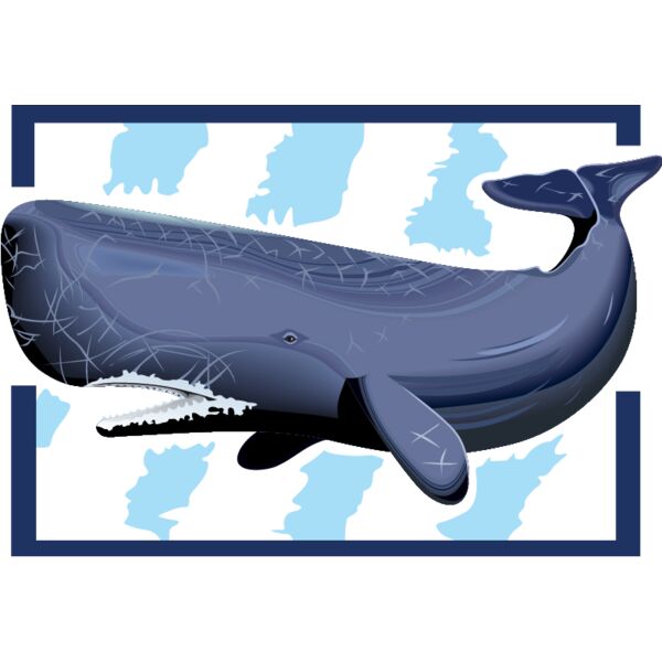 PG52972 Miniaturansicht