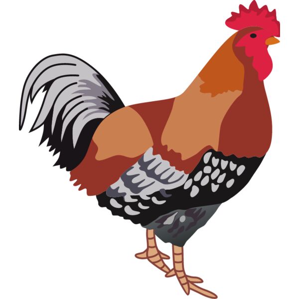 PG94741 Miniaturansicht