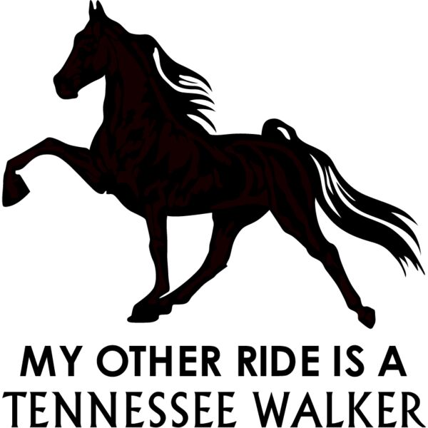 PG66851 Miniaturansicht