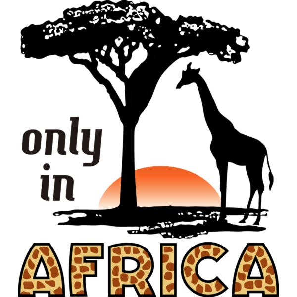 PG61571 Miniaturansicht