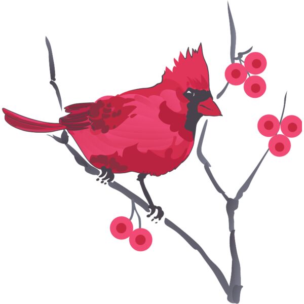 PG69785 Miniaturansicht