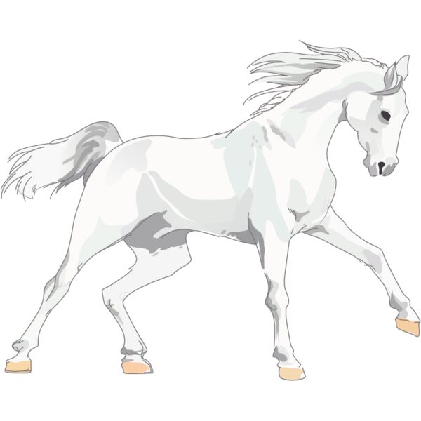 PG70966 Miniaturansicht