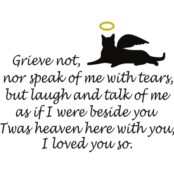 PG63449 Miniaturansicht