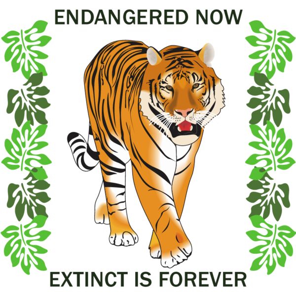 PG52993 Miniaturansicht