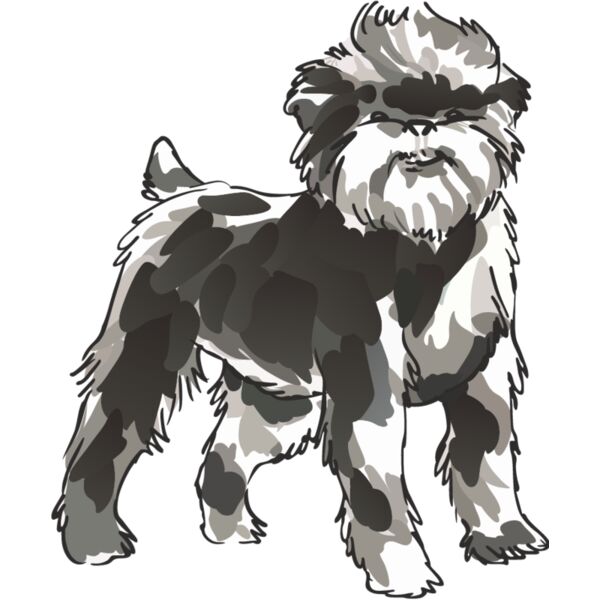 PG77825 Miniaturansicht