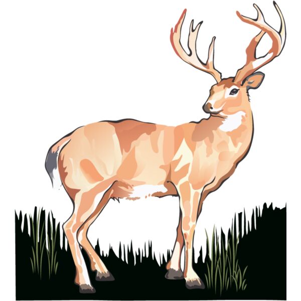 PG69896 Miniaturansicht