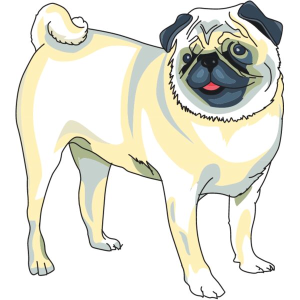 PG66306 Miniaturansicht