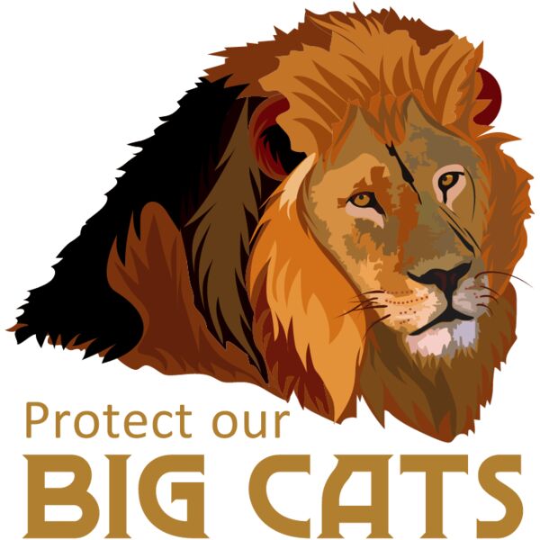 PG52977 Miniaturansicht