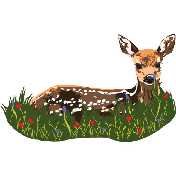 PG87964 Miniaturansicht