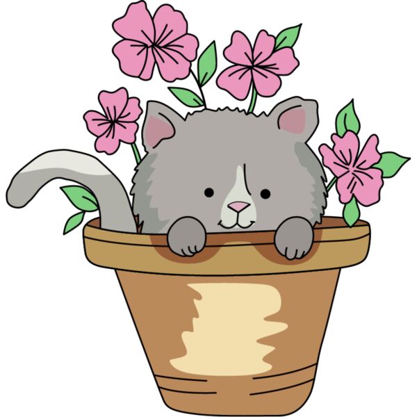 PG18891 Miniaturansicht