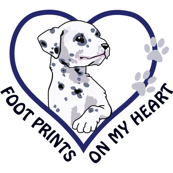 PG92936 Miniaturansicht