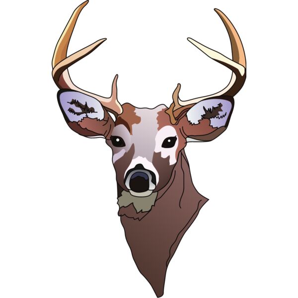 PG50617 Miniaturansicht