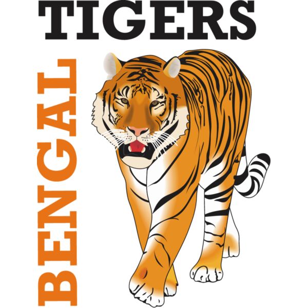 PG52991 Miniaturansicht