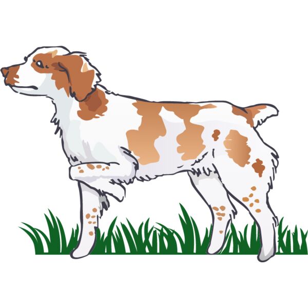 PG93856 Miniaturansicht