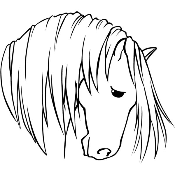 PG79864 Miniaturansicht