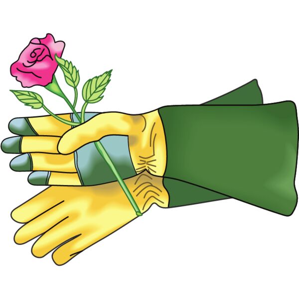 PG62880 Miniaturansicht