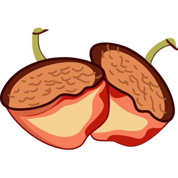 PG45571 Miniaturansicht