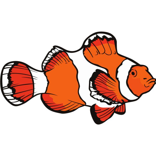 PG76603 Miniaturansicht