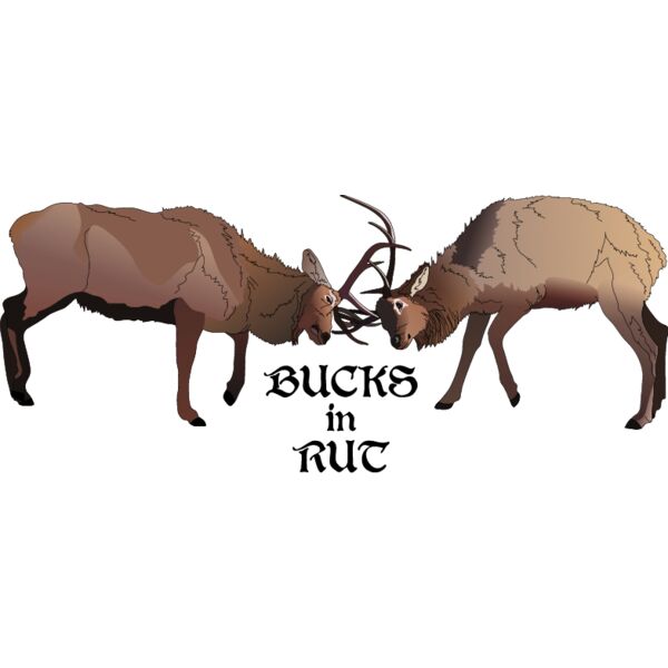 PG50714 Miniaturansicht