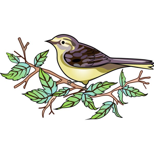 PG66326 Miniaturansicht