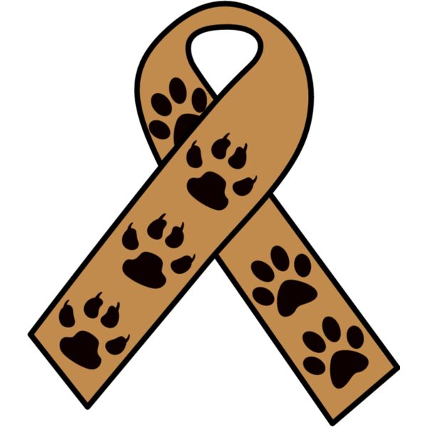 PG60811 Miniaturansicht