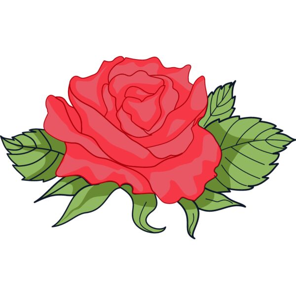 PG45608 Miniaturansicht