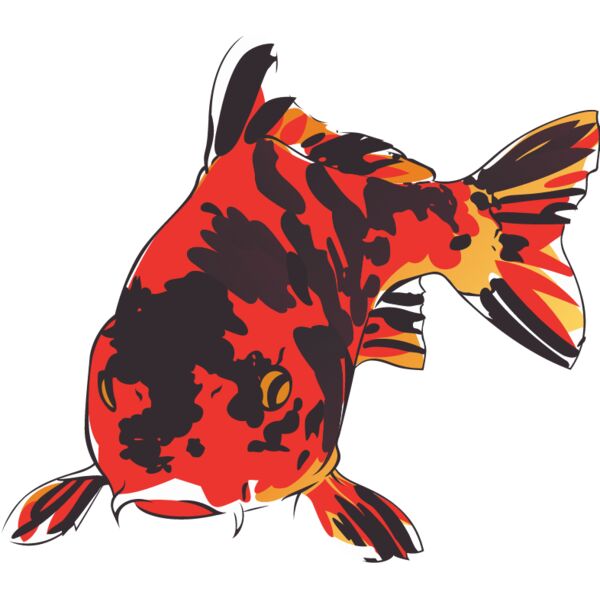 PG76670 Miniaturansicht