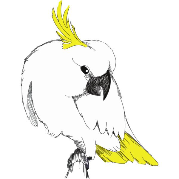 PG71456 Miniaturansicht