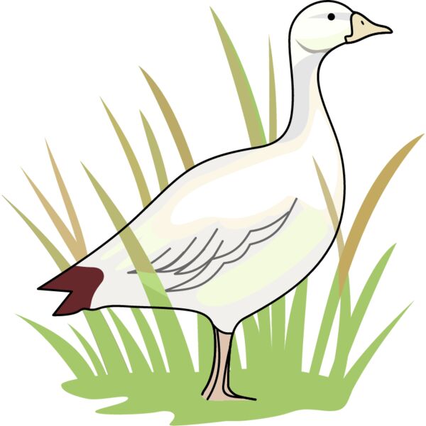 PG66423 Miniaturansicht