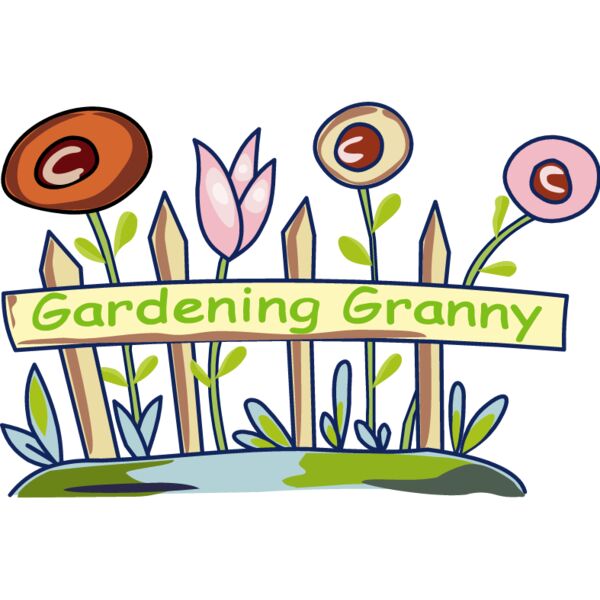 PG15532 Miniaturansicht