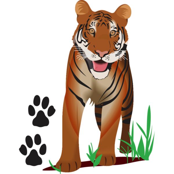 PG52980 Miniaturansicht