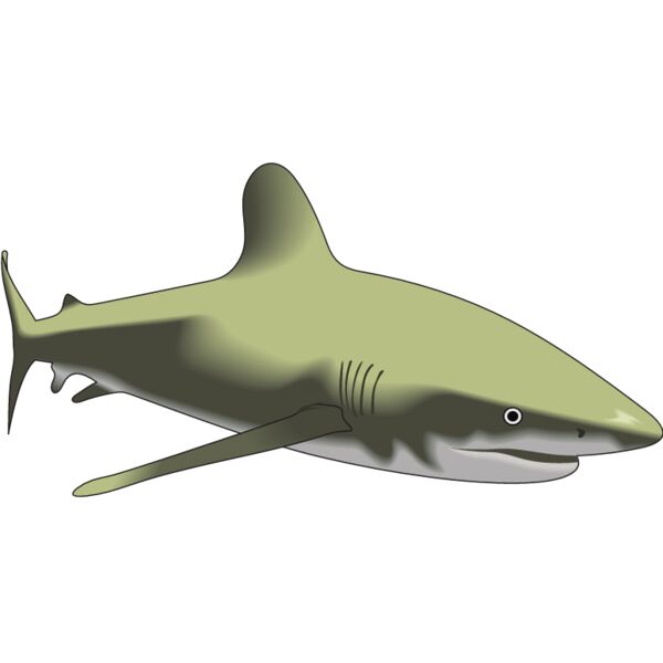 PG59677 Miniaturansicht