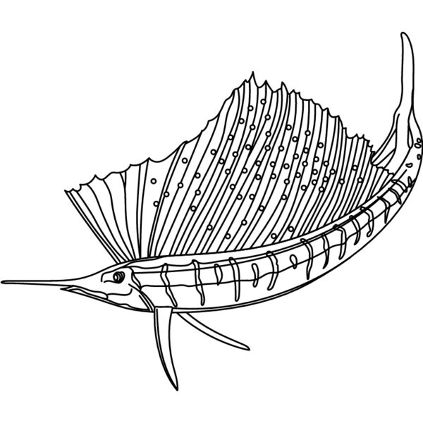 PG52850 Miniaturansicht