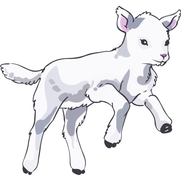 PG87919 Miniaturansicht