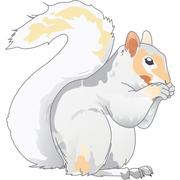 PG70605 Miniaturansicht