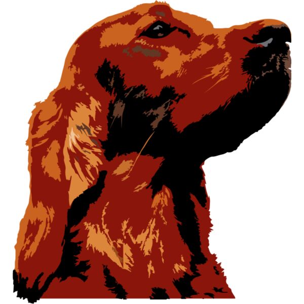 PG75760 Miniaturansicht