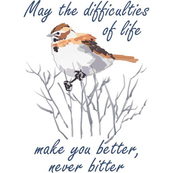 PG70579 Miniaturansicht