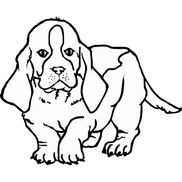 PG70554 Miniaturansicht