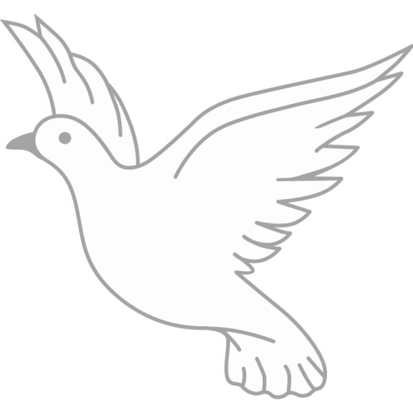 PG66862 Miniaturansicht