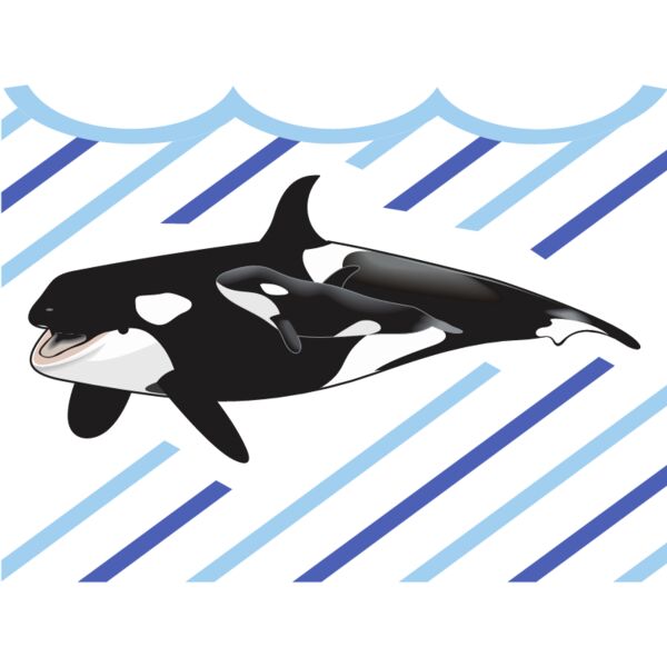 PG52956 Miniaturansicht