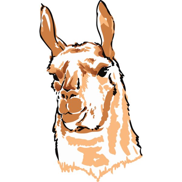 PG71377 Miniaturansicht